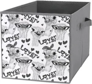 1 PC Square Foldable Organizer Oxford Cloth with Handles, Clothes Bucket Waterproof Storage Basket Bin Laundry Hamper 10.6" Print Grey Ostriches with Glasses Hairpins, Lover is a Day Letterings