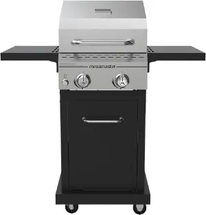 2-Burner Propane Barbecue Gas Grill with Foldable Side Tables, Perfect for Camping, Outdoor Cooking, Patio, Garden Barbecue Grill, 28000 BTUs, Silver and Black, 720-0864MA