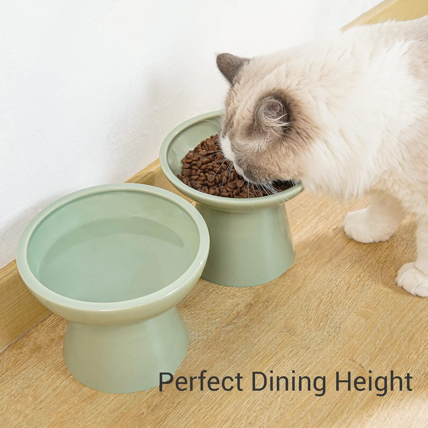 2 Elevated Ceramic Cat Bowls Extra Wide for Food & Water – Whisker Fatigue Shallow Food Dish, Lead & Cadmium-Free, Raised Height for Cats, Sage Green