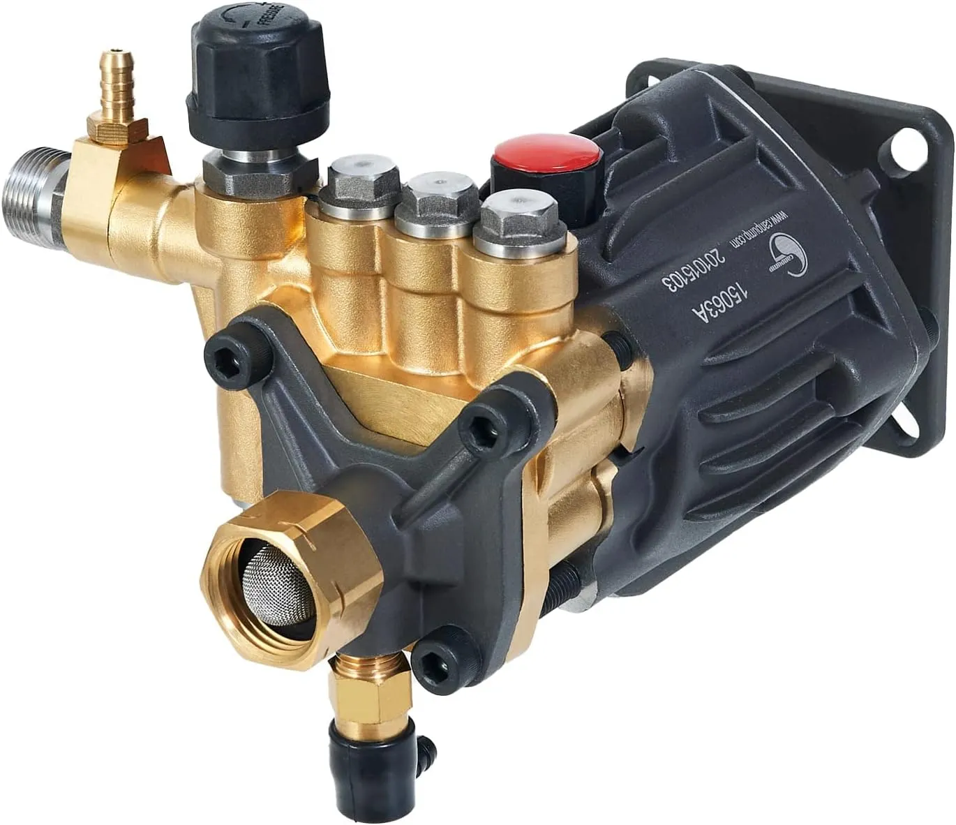 Canpump CH 2830 G: 2800 psi @ 3 US gpm, 3/4-in Shaft Pressure Washer Pump