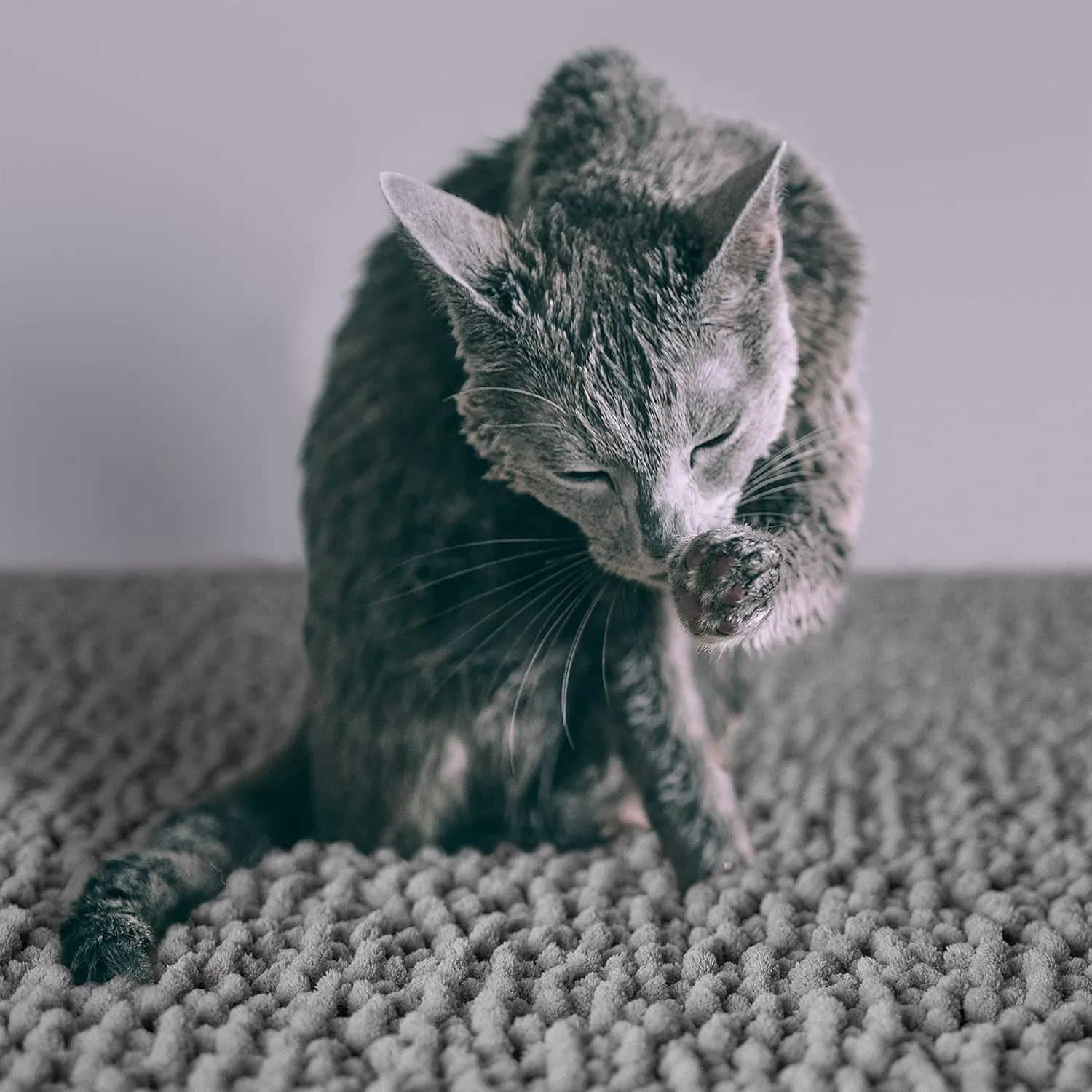 CatGuru Cat Litter Mat, Medium, Extra Large, XXL, Waterproof Litter Box Mat, Non Slip Kitty Litter Mat, Machine Washable Litter Trapping Mat, Soft Litter Tray, Cat Stuff (XL, Gray/Heavy-Duty)