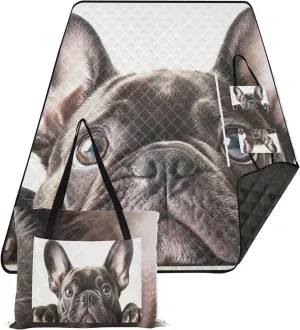 CHIFIGNO Cute French Bulldog Close Up Beach Blanket Waterproof Sandproof Lawn Blanket for Grass Mat Cute Picnic Blanket Foldable 80" x 60"