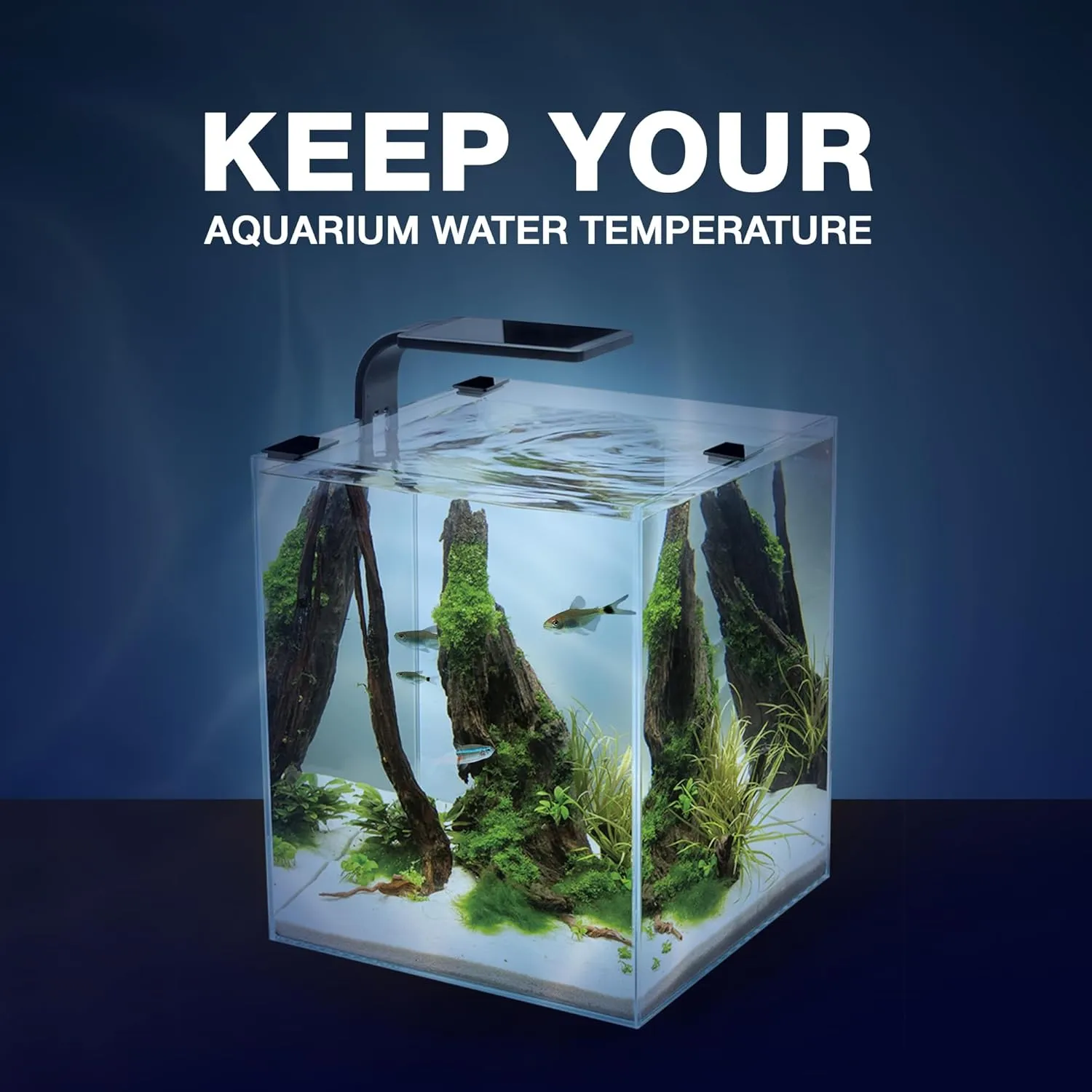 Cobalt Aquatics Neo-Glass 75W Aquarium Heater (Up to 20 Gal) – Submersible, Digital Thermostat, ±0.7°F Accuracy, for Freshwater & Saltwater Tanks