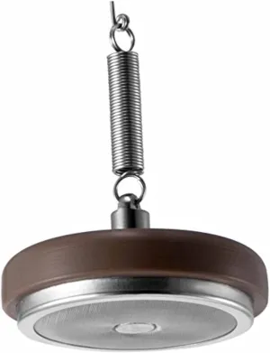 Diguo Permanent Coffee Filter for All Hario Siphon Coffee Maker and Other Syphon Coffee Maker Model: 1889A (Brown)