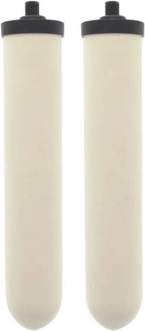 Doulton W9123053 UltraCarb 10 Inch Ceramic Candle Filter Cartridge (2 PACK)
