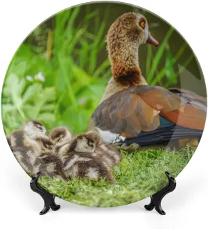 Egyptian Goose Chick Water Bird Decorative Plate, Ceramic Wall Decor Plate, Decorative Plate W/Stand, Home Decoration Round Display Plate, Porcelain Ornament Wall Art, 8"