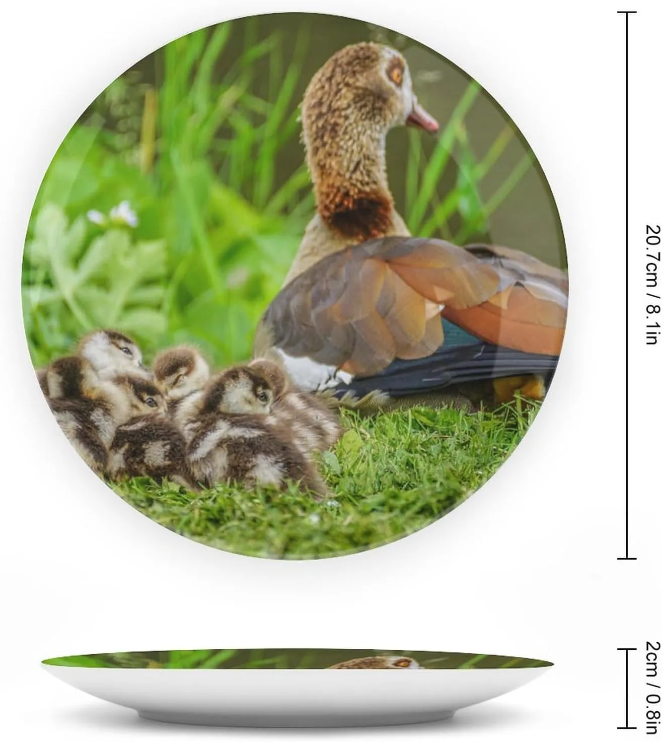 Egyptian Goose Chick Water Bird Decorative Plate, Ceramic Wall Decor Plate, Decorative Plate W/Stand, Home Decoration Round Display Plate, Porcelain Ornament Wall Art, 8"