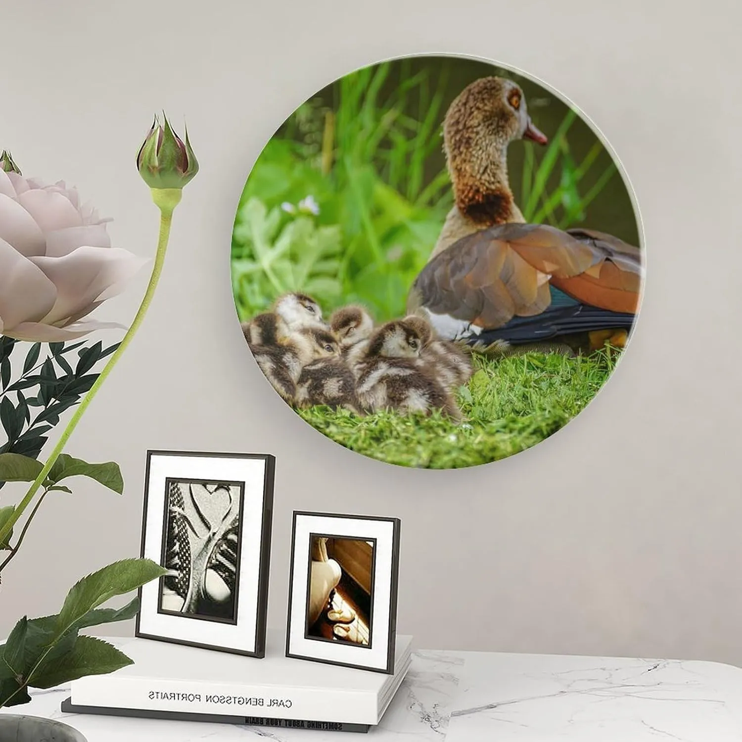 Egyptian Goose Chick Water Bird Decorative Plate, Ceramic Wall Decor Plate, Decorative Plate W/Stand, Home Decoration Round Display Plate, Porcelain Ornament Wall Art, 8"