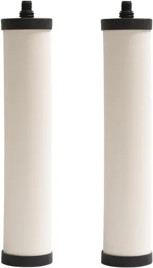 Franke FRC06-2PK Cartridge, 2 Count (Pack of 1), White