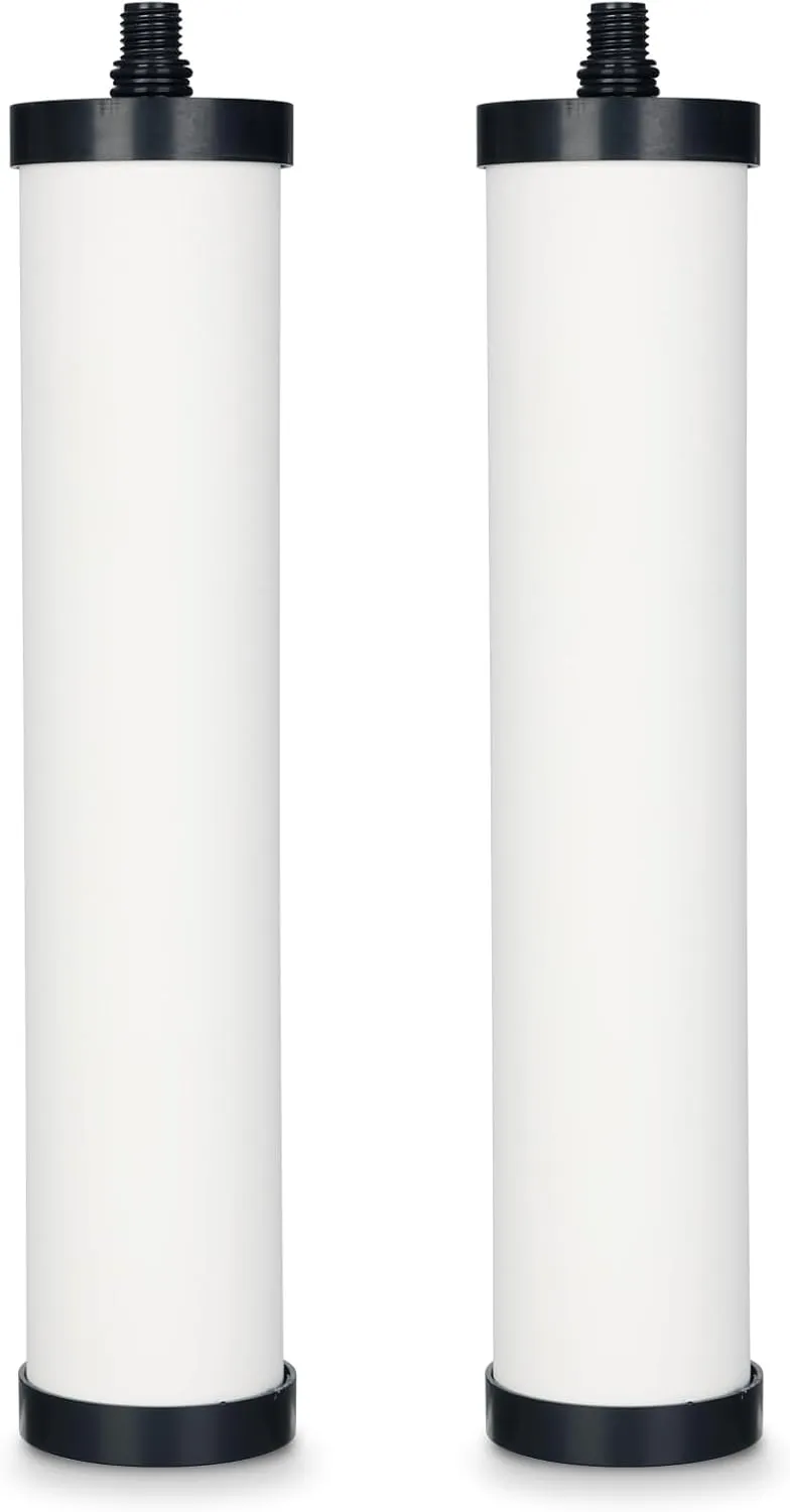 FRC06 Cartridge, Compatible with FRCNSTR/FRC06, FRCNSTR100/FRC06 filter cartridge and Franke Still Pure Under-Sink Filtration System, 2 Pack