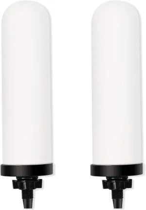 H&G Lifestyles 2 Packs Ceramic Candle Water Filter Survival Replacement for Berkey® Compatible with Berkey Gravity Drinking Water Purification Reduces Odor Chlorine Emergency Water Filtration System