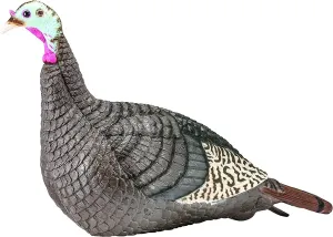 Hunters Specialties HS Strut Lite Hen Turkey Foldable Hollow Body Realistic Decoy