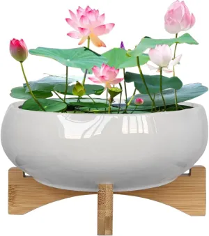 MUZHI White Ceramic Water Lotus Bowl Planter Pot with Bamboo Stand 7.8”, Lotus Shape Hydroponic Water Lily Flower Pot