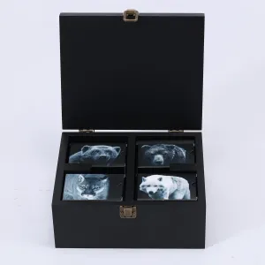North American Predators Playing Cards with Organizer Box Waterproof Stylish Playing Cards, Cool Deck of Cards, Poker Cards for Collectors and Game Enthusiasts