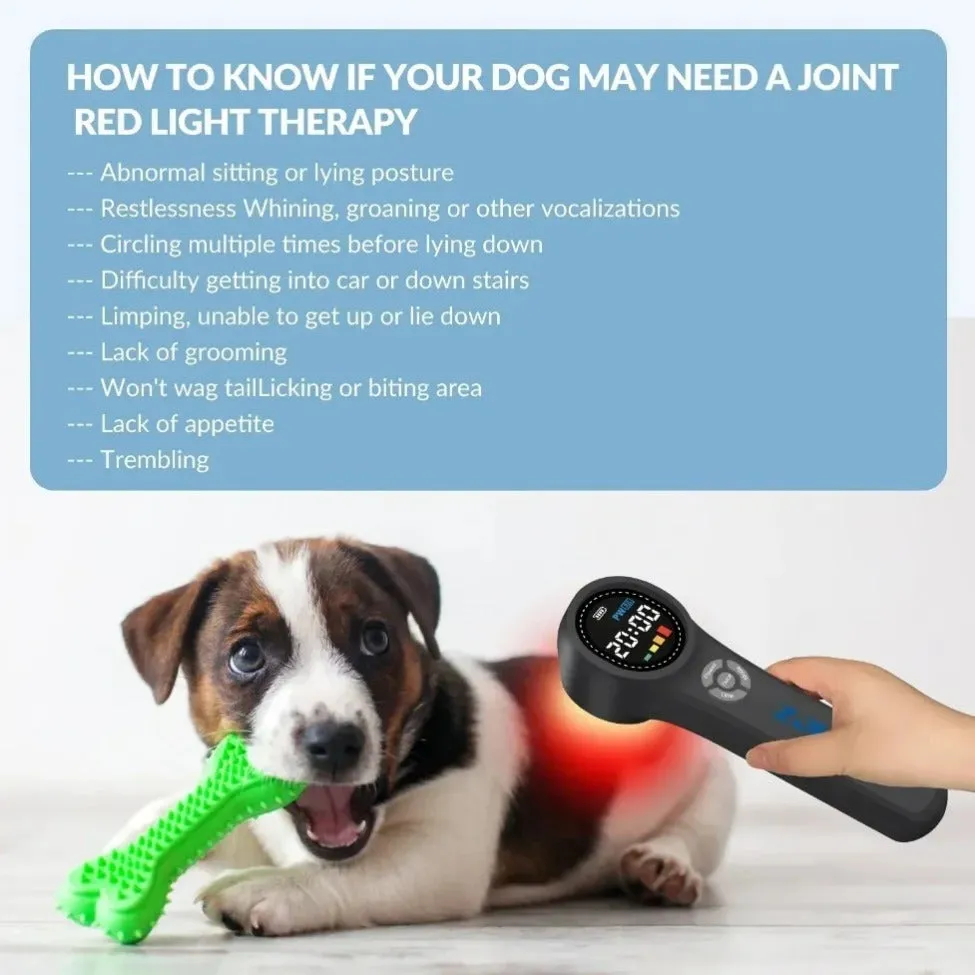 Premium Cold Laser Therapy Device for Pain Relief | 4x808nm & 16x650nm Infrared Light Therapy | Handheld Massager for Arthritis & Muscle Relaxation | Non-Invasive Pain Management