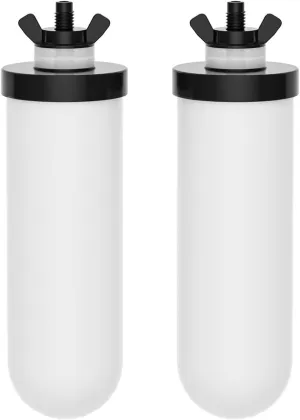Purewell PF-4 Ceramic Purification Elements, Replacement Filters for ProOne® and Berkey® Filters, ProOne® or Berkey® Big  Countertop Gravity Water Filter System and Purewell System (2 Pack, K Series)
