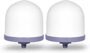 Replacement Ceramic Dome Water Filter 0.2 to 0.5 micron for Countertop & Water Coolers. First Stage of Filtration, Traps all Impurities (Set of 2)