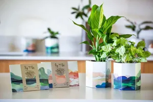 Sow'n'Sow Pop up Pot