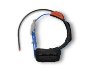 T5X Garmin Act quickly Huge reduction Device Dog