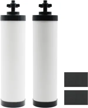 [Upgraded]Larayci Ceramic Filter Silver Infused Replacement for BB9-2® Black Carbon Filters, Compatible with Berkey® and ProOne® Gravity Water Filter System, Repeatable Cleaning Filters, Pack of 2