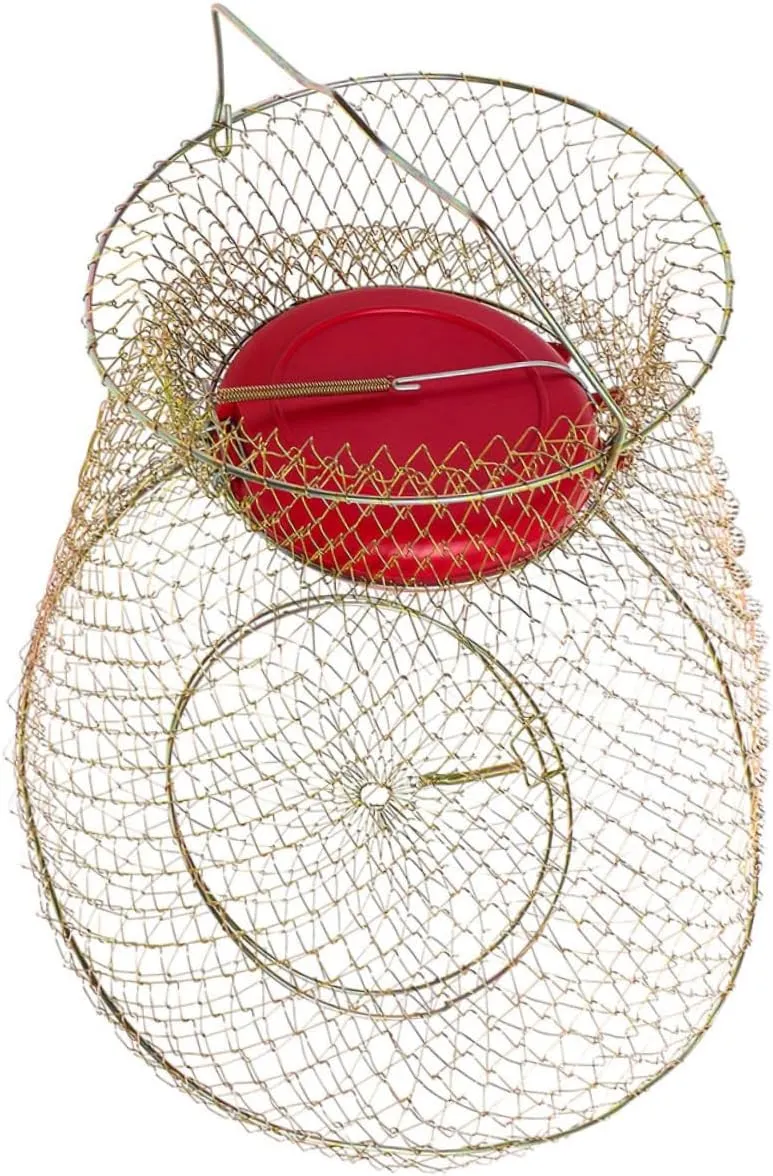 Wire Fish Baskets Collapsible Portable Fishing Basket for Outdoor Use Durable Construction for Catch Storage for Minnows and Crabs